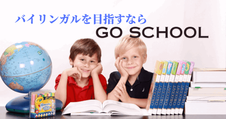 国産バイリンガルカード ベリルックス